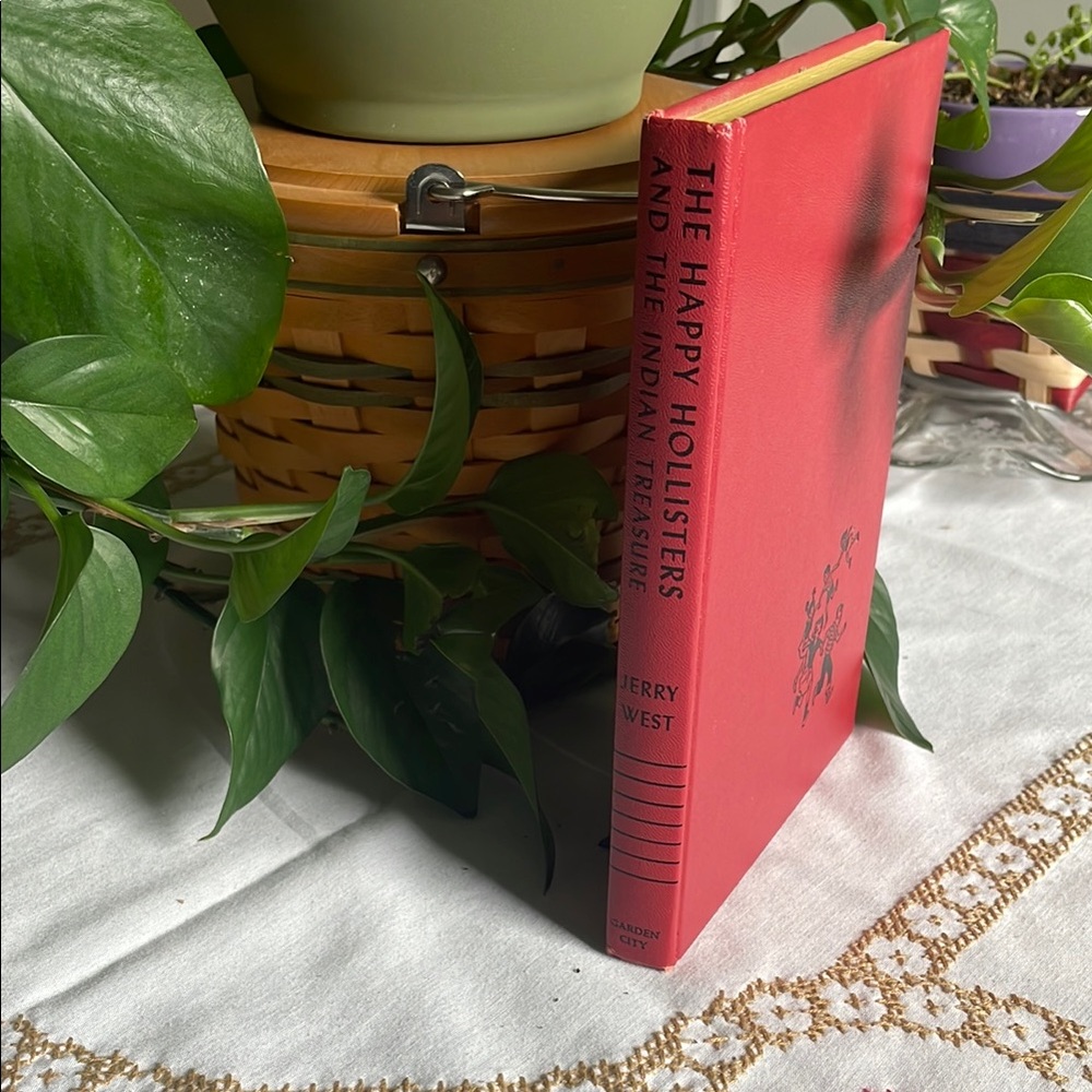 'The Happy Hollisters and the Indian Treasure' Book